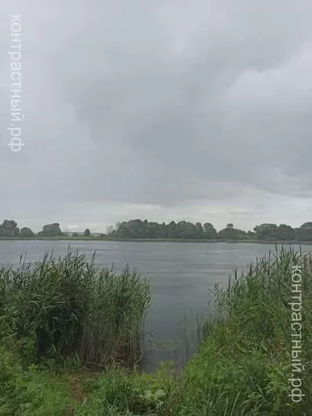Гурьевский пруд во время дождя